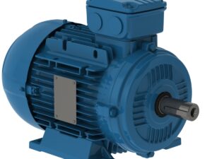 Motor Trifásico de Inducción – Rotor de Jaula – 1 HP